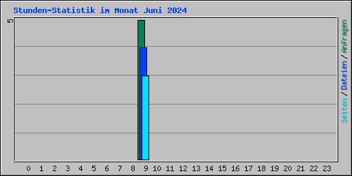 Stunden-Statistik im Monat Juni 2024