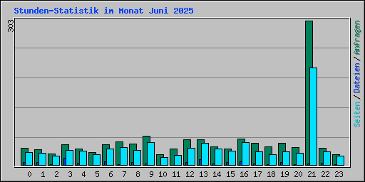 Stunden-Statistik im Monat Juni 2025